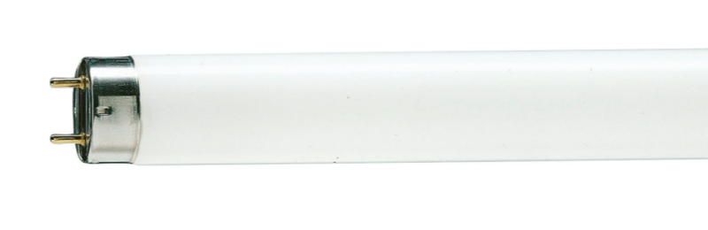 Lamp Fluor T8 32 W Br 220 V 8000h (TLDRS32W-CO-I)