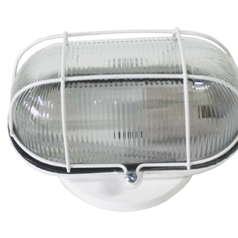 Tartaruga Ferro Vidro 60 W Br (01194)