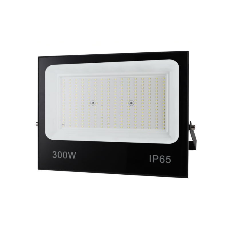 Refletor LED Pt 300 W 6,5k (17819)