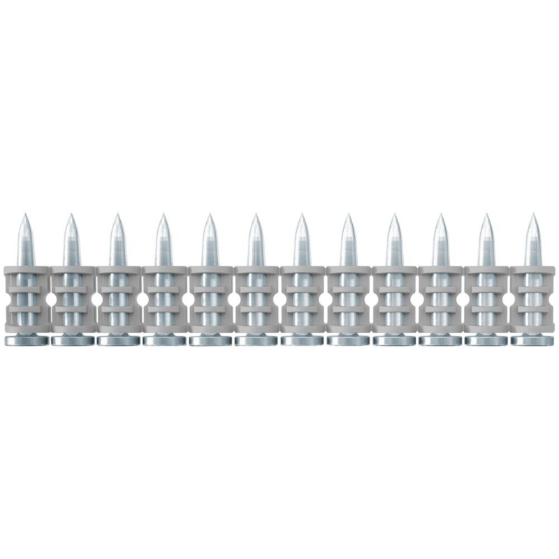 Pino Fischer 20 Np Com1008un (567322)